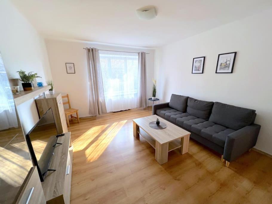 Apartman U Labe ジェチーン エクステリア 写真