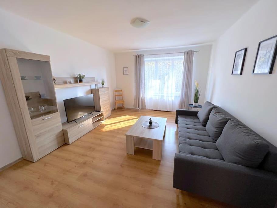 Apartman U Labe ジェチーン エクステリア 写真