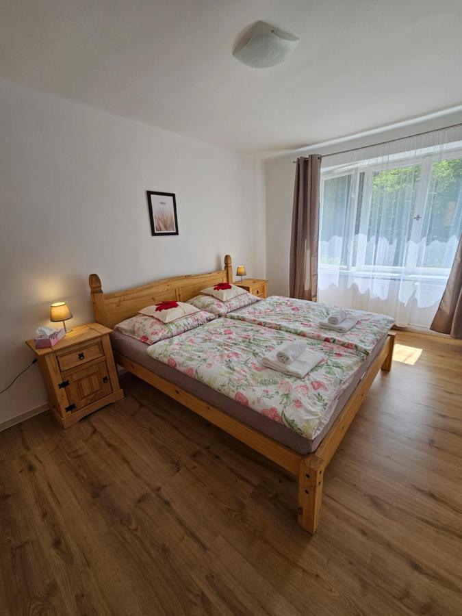 Apartman U Labe ジェチーン エクステリア 写真